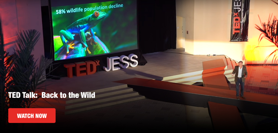 TED Talk:  Back to the Wild